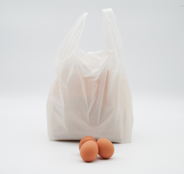 ササキのたまご