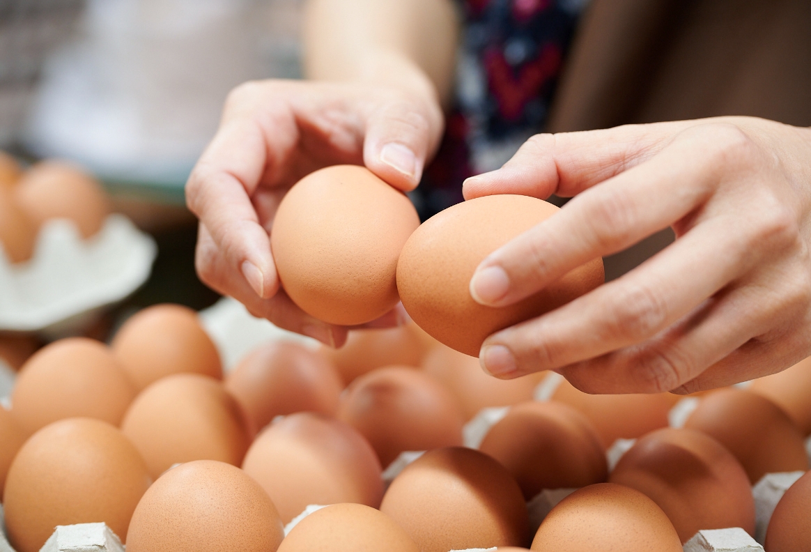 青空たまご専門店　ササキのたまご