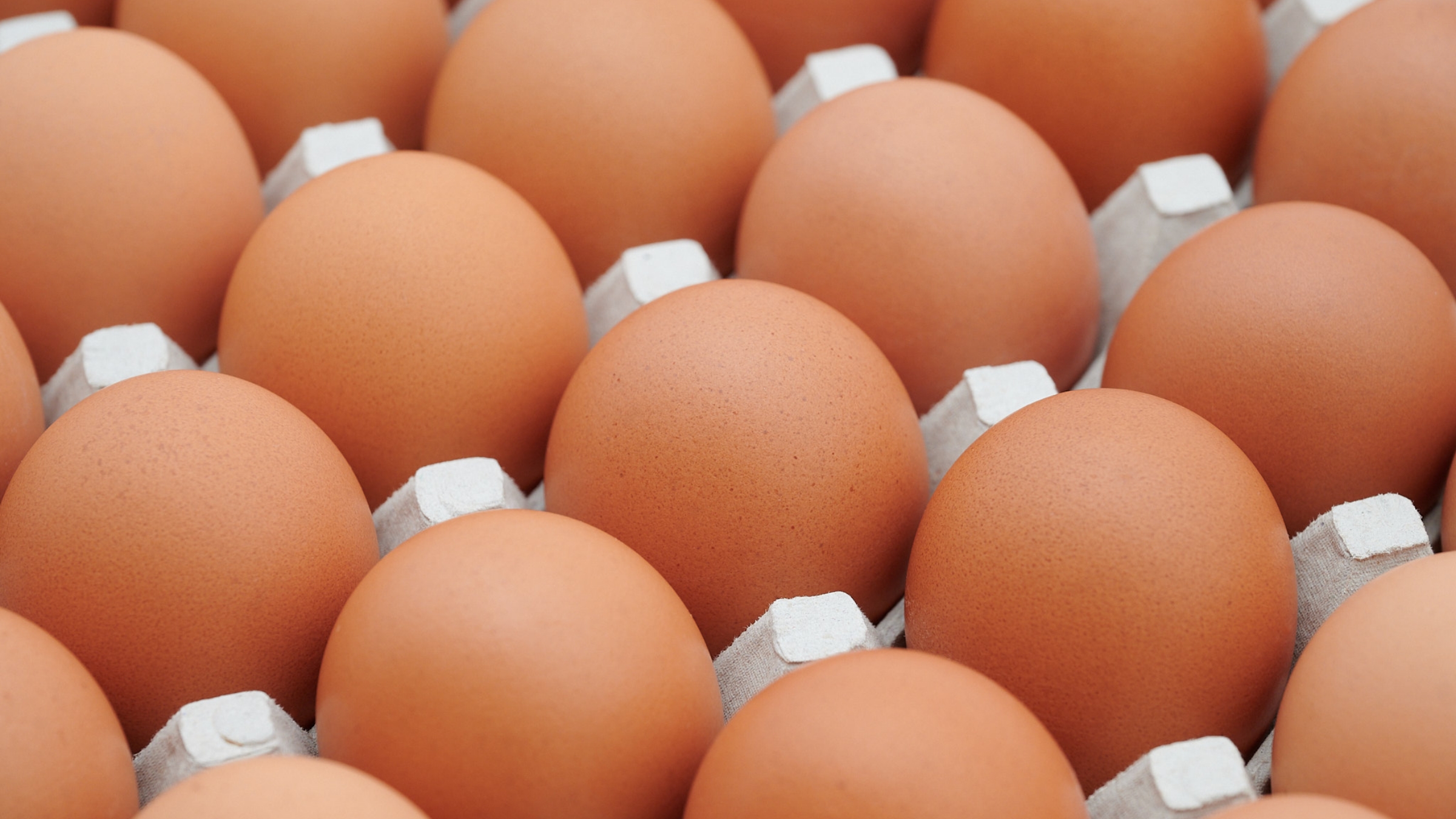 青空たまご専門店　ササキのたまご