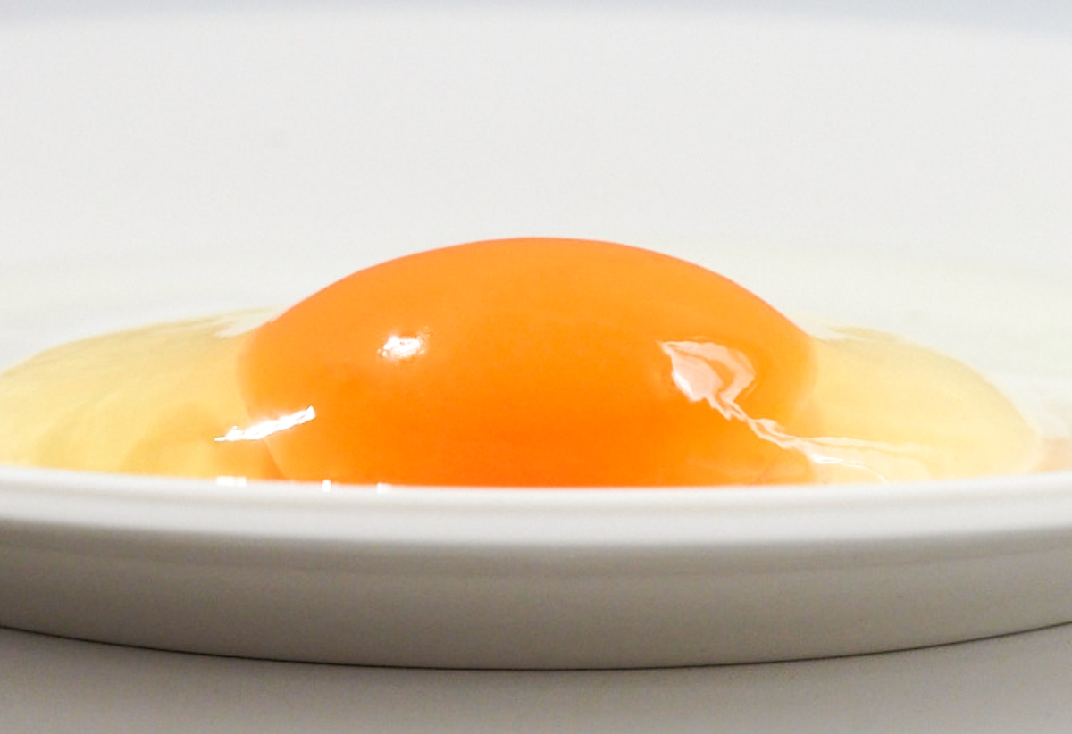 青空たまご専門店　ササキのたまご