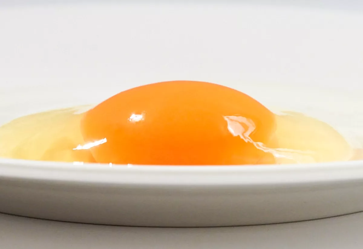 青空たまご専門店　ササキのたまご